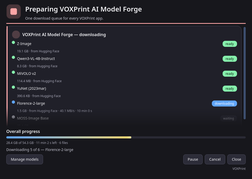 The model downloader with the Model Forge models